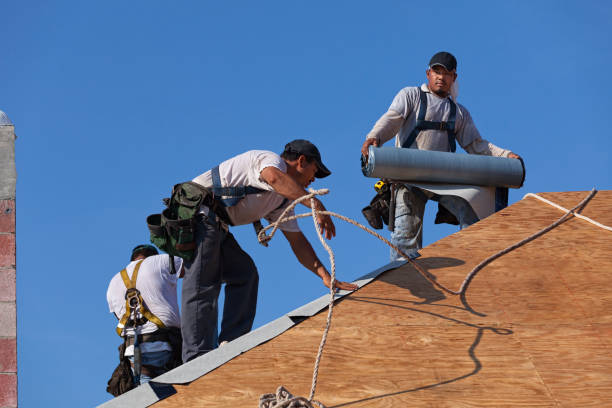 Best Metal Roofing Contractor  in Ellitt, CO
