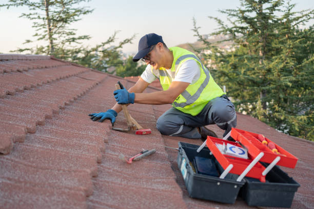Best Flat Roof Repair Services  in Ellitt, CO